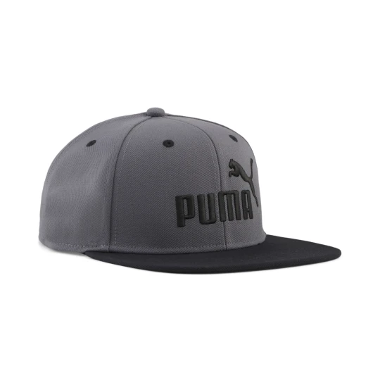 Zdjęcie produktu PUMA Czapka z pÅ‚askim daszkiem Essentials z logo No.1, Akcesoria, Szary