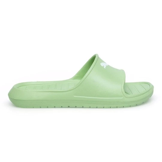 Zdjęcie produktu PUMA DIVECAT V2 LITE CAT 38671314 Zielony