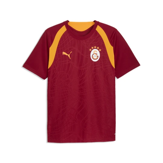 Zdjęcie produktu PUMA MÄ™ska dopasowana koszulka treningowa Galatasaray .K., Akcesoria, Czerwony