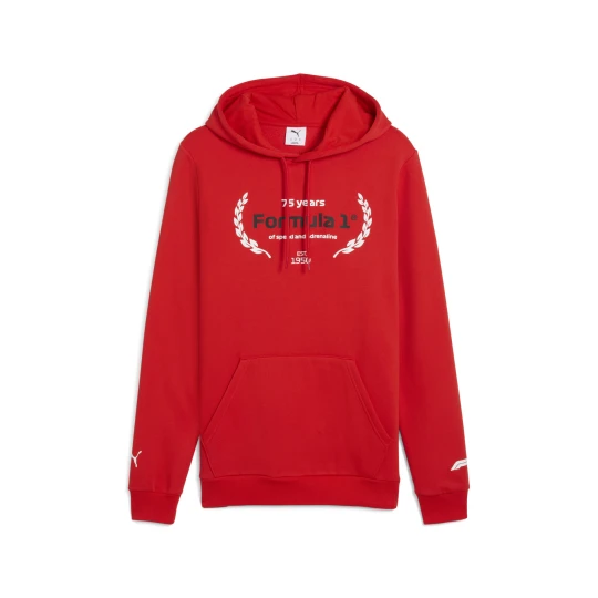 Zdjęcie produktu PUMA Męska bluza z kapturem F1® Essentials z logo i grafiką, Akcesoria, Czerwony