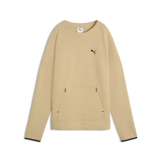 Zdjęcie produktu PUMA Męska bluza z okrągłym dekoltem EVOSTRIPE Spacer Slim, Odzież, Beżowy