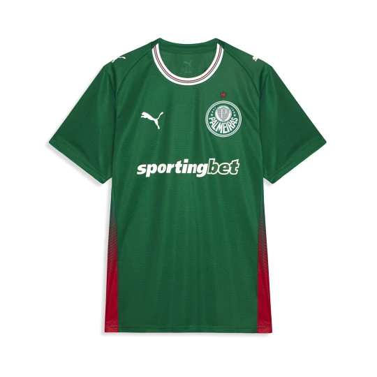Zdjęcie produktu PUMA Męska koszulka domowa Palmeiras Torced 2026, Akcesoria, Zielony