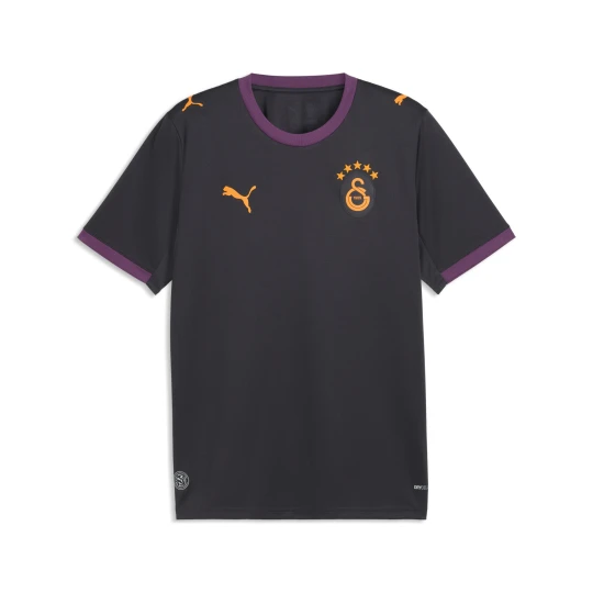 Zdjęcie produktu PUMA Męska koszulka wyjazdowa Galatasaray .K. 26/27, Akcesoria, Szary