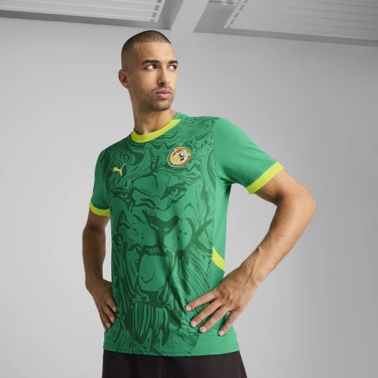 Zdjęcie produktu PUMA Męska koszulka wyjazdowa Senegal 2025, Odzież, Zielony