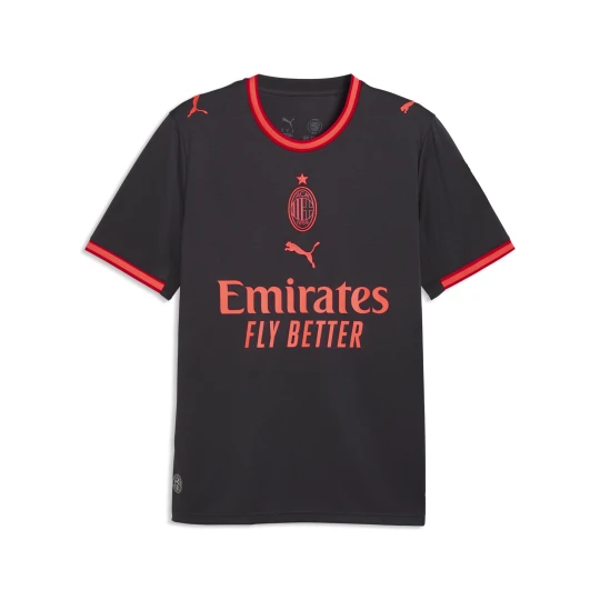 Zdjęcie produktu PUMA Męska trzecia koszulka AC Milan 26 / 27, Akcesoria, Szary