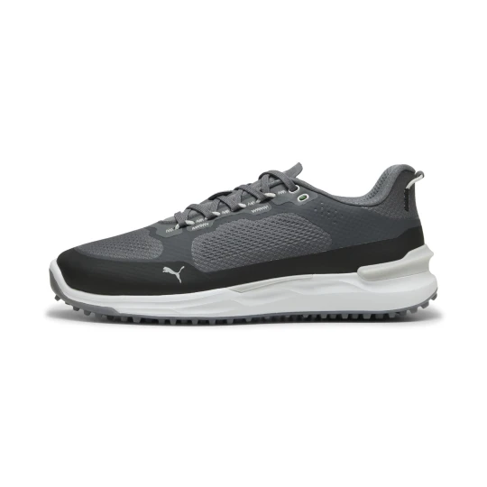 Zdjęcie produktu PUMA Męskie buty do golfa IGNITE Elevate X, Buty, Szary