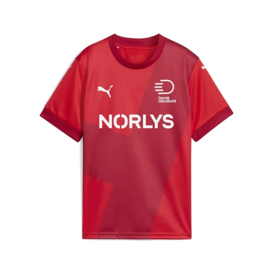 Zdjęcie produktu PUMA Młodzieżowa koszulka domowa duńskiej reprezentacji w piłce ręcznej 24 / 25, Odzież, Czerwony