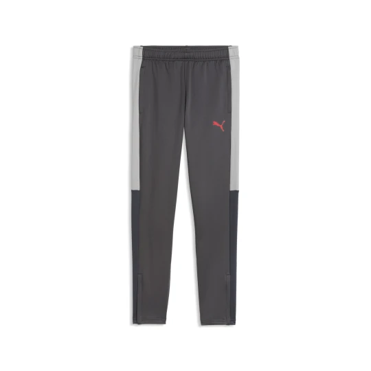 Zdjęcie produktu PUMA Młodzieżowe piłkarskie spodnie treningowe IndividualLIGA, Odzież, Szary