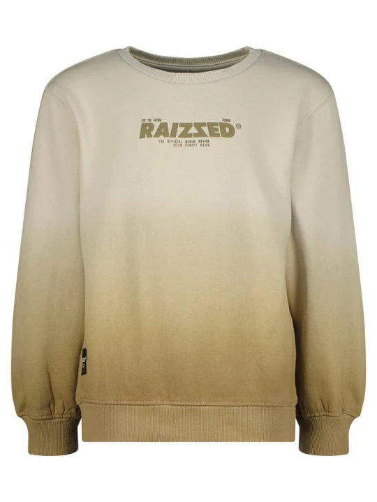 Zdjęcie produktu RAIZZED® Bluza "Male" w kolorze beżowo-jasnobrązowym rozmiar: 164