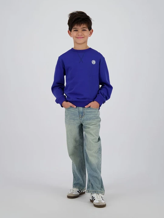 Zdjęcie produktu RAIZZED® Bluza "Nambrock" w kolorze niebieskim rozmiar: 128