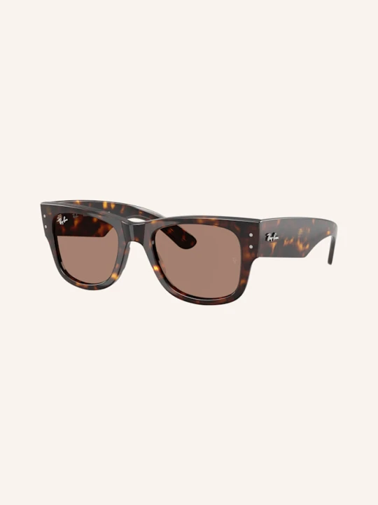 Zdjęcie produktu Ray-Ban Okulary Przeciwsłoneczne rb0840s braun brązowy
