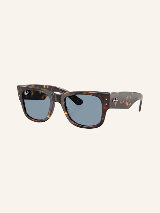 Zdjęcie produktu Ray-Ban Okulary Przeciwsłoneczne rb0840s braun brązowy