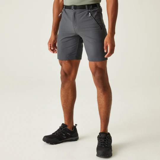 Zdjęcie produktu Regatta Spodenki męskie trekkingowe Xert Stretch III Szary
