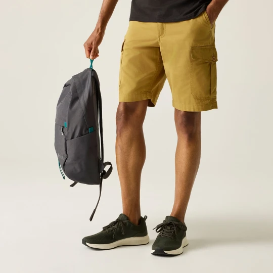 Zdjęcie produktu Regatta Spodenki męskie casual Ruwan Brązowy
