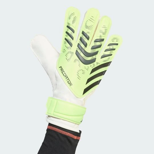 Zdjęcie produktu Rękawice Predator Training Goalkeeper Adidas zielony