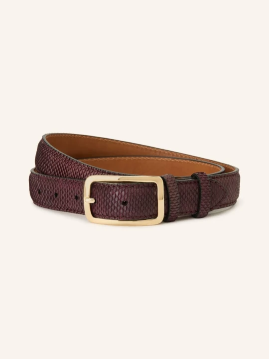 Zdjęcie produktu Reptile's House Pasek Blind rot