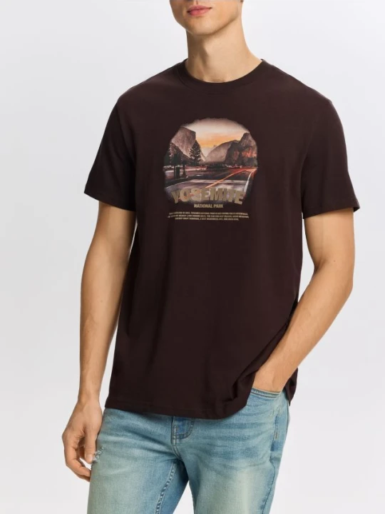 Zdjęcie produktu Reserved - T-shirt regular z nadrukiem - ciemnobrązowy