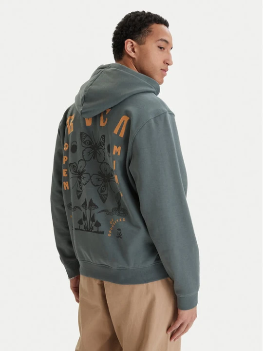 Zdjęcie produktu RVCA Bluza Butterfly Poster EVYSF00136 Zielony Boxy Fit