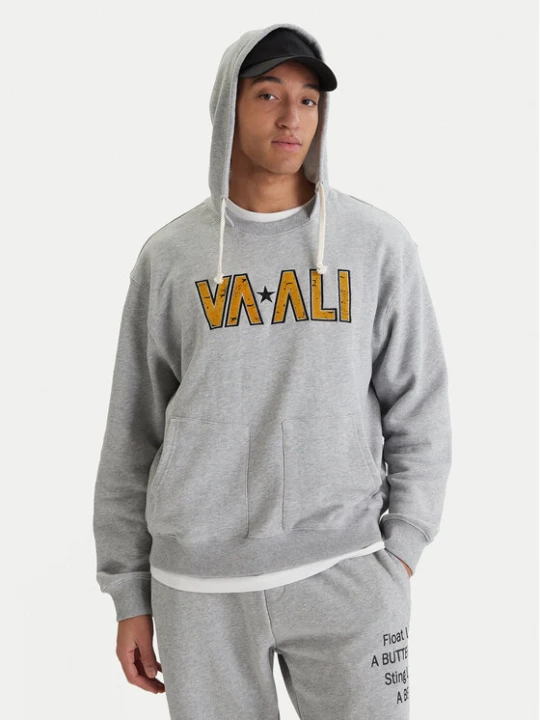 Zdjęcie produktu RVCA Bluza Va X Ali 23A413500 Szary Regular Fit