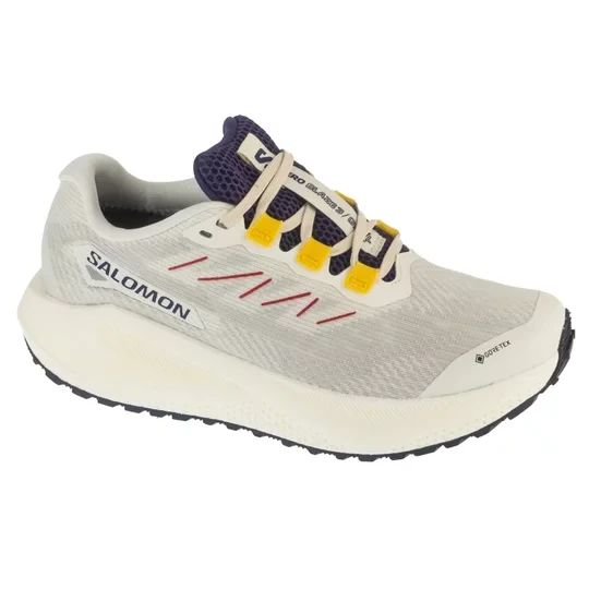 Zdjęcie produktu Salomon Aero Blaze 3 Grvl GTX W L47974100, Damskie, Szare, buty do biegania, tkanina, rozmiar: 40 2/3