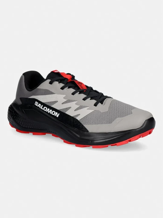 Zdjęcie produktu Salomon buty ALPHAGLIDE szary
