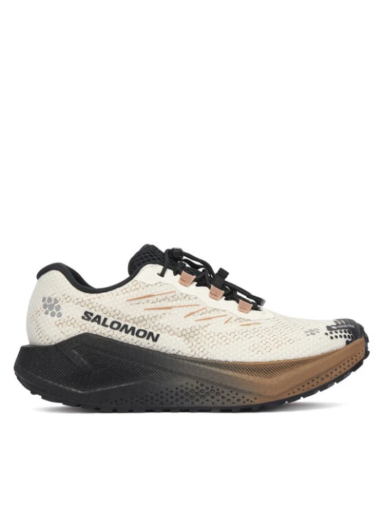 Zdjęcie produktu Salomon Buty do biegania Aero Blaze 4 gtx GORE-TEX L45403900 Beżowy