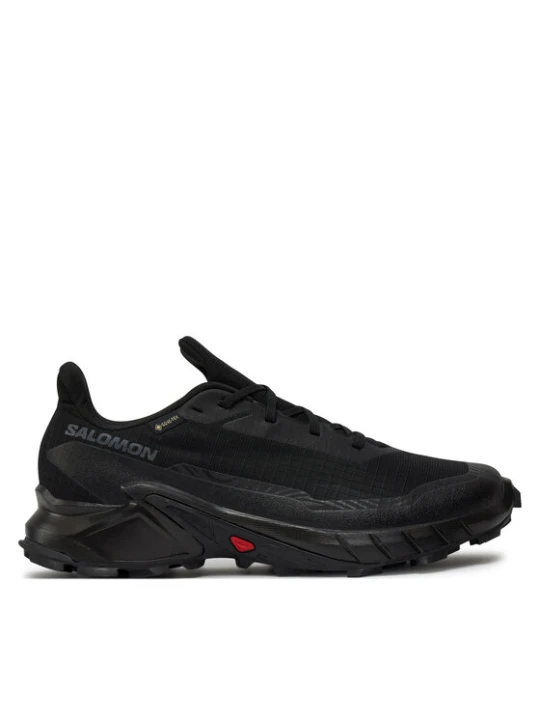 Zdjęcie produktu Salomon Buty do biegania Alphacross 5 Gore-Tex L47307500 Czarny
