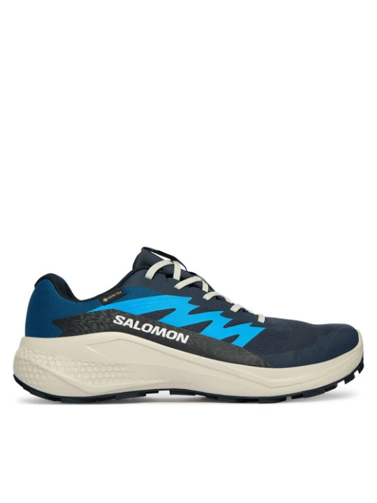 Zdjęcie produktu Salomon Buty do biegania Alphaglide Gtx L47975100 Niebieski