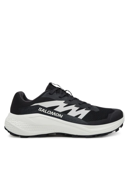 Zdjęcie produktu Salomon Buty do biegania Alphaglide L47801500 Czarny
