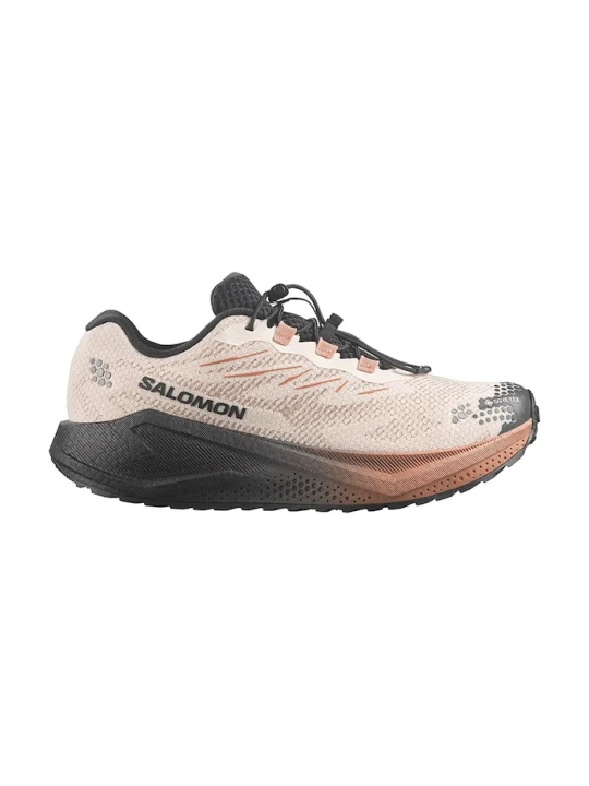 Zdjęcie produktu Salomon buty do biegania męskie AERO BLAZE 4 GRVL GTX beżowy