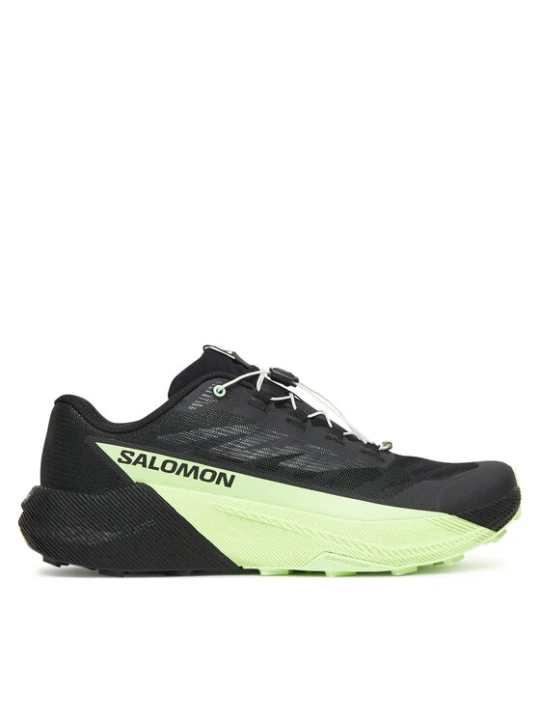 Zdjęcie produktu Salomon Buty do biegania Pulsar L47887800 Czarny
