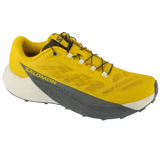 Zdjęcie produktu Salomon Pulsar L47973200, Męskie, Żółte, buty do biegania, tkanina, rozmiar: 41 1 / 3