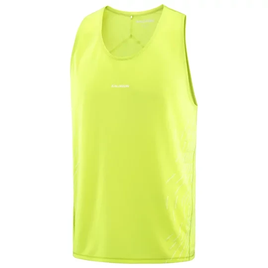 Zdjęcie produktu Salomon Sense Aero Graphic LC2758000, Męskie, Żółte, t-shirty, poliester, rozmiar: L