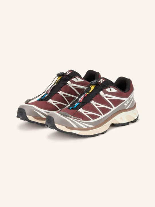 Zdjęcie produktu Salomon Sneakersy Xt-6 Gtx braun brązowy