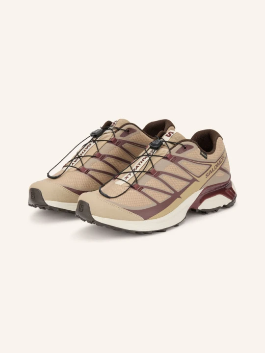 Zdjęcie produktu Salomon Sneakersy Xt-Pathway Gtx beige