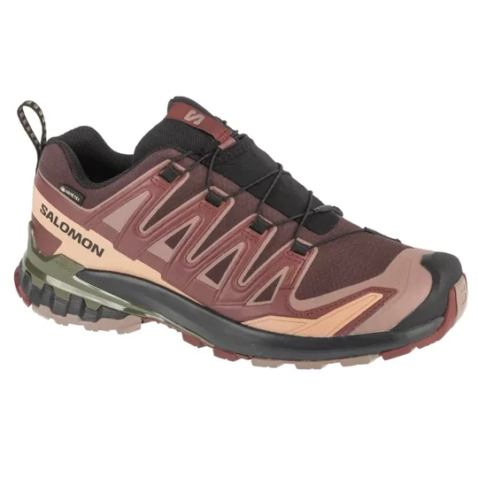 Zdjęcie produktu Salomon XA Pro 3D v9 GTX L47583500, Męskie, Brązowe, buty do biegania, tkanina, rozmiar: 46