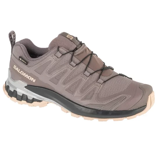 Zdjęcie produktu Salomon XA Pro 3D v9 GTX W L47744500, Damskie, Szare, buty do biegania, tkanina, rozmiar: 39 1/3