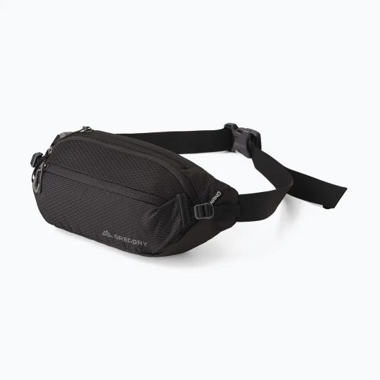 Zdjęcie produktu Saszetka nerka Gregory Nano 4 l optic black