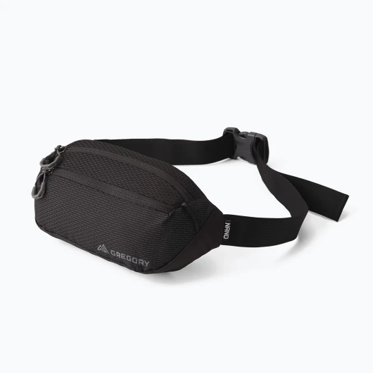 Zdjęcie produktu Saszetka nerka Gregory Nano Mini 3 l optic black