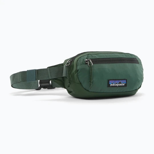 Zdjęcie produktu Saszetka nerka Patagonia Terravia Mini Hip canopy green