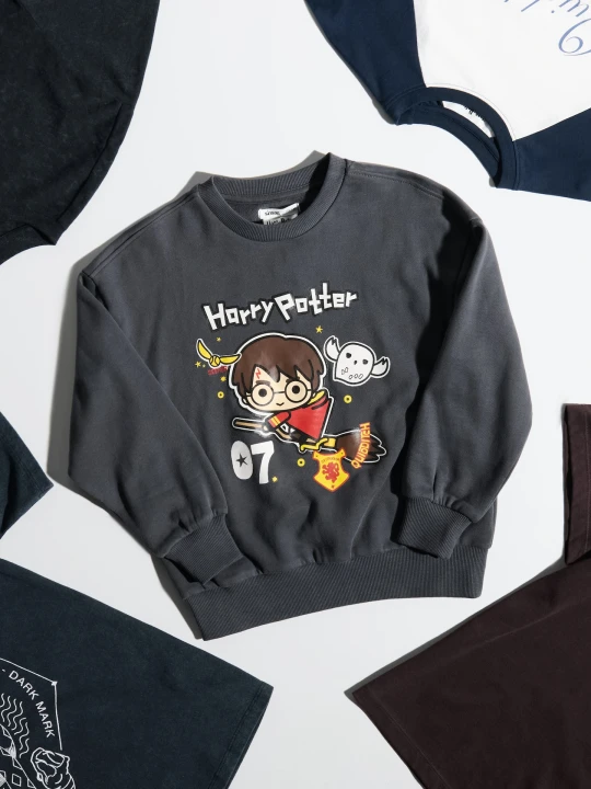 Zdjęcie produktu Sinsay - Bluza crewneck soft touch z nadrukiem Harry Potter - szary