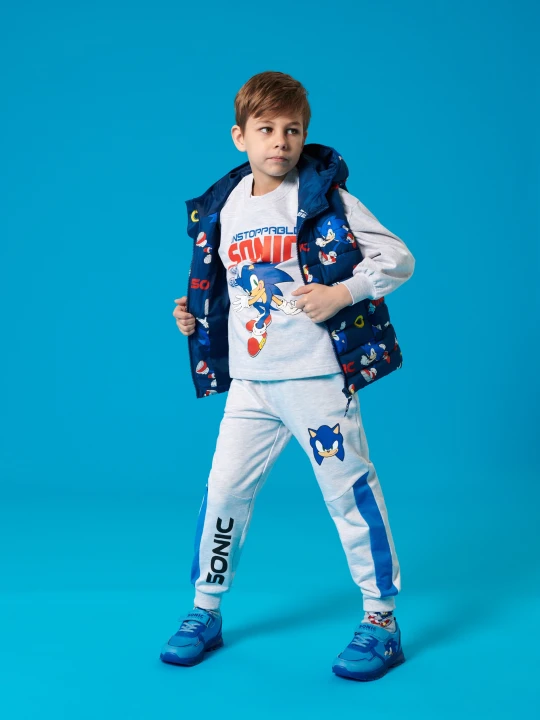Zdjęcie produktu Sinsay - Bluza Sonic The Hedgehog - szary