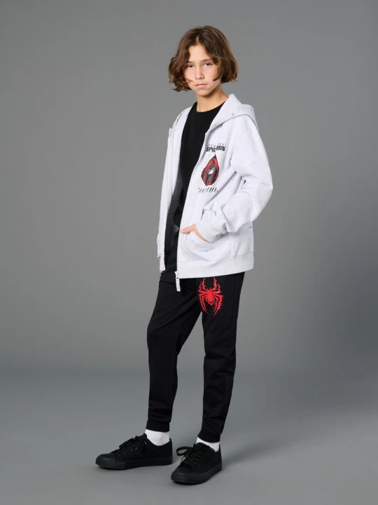 Zdjęcie produktu Sinsay - Bluza Spider-Man - szary
