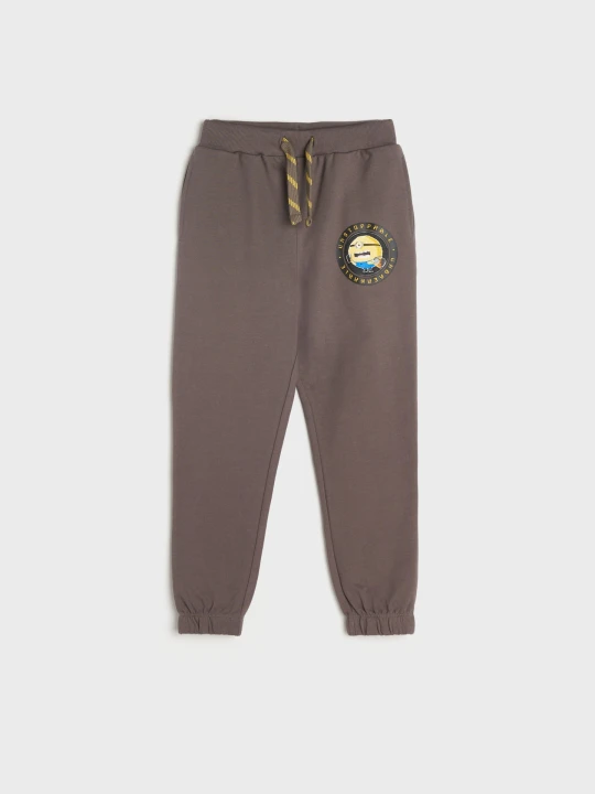 Zdjęcie produktu Sinsay - Spodnie Minionki - szary