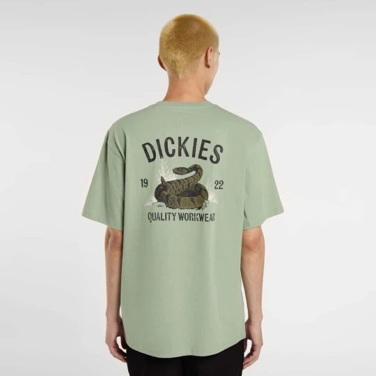 Zdjęcie produktu Snake Tee Dickies zielony