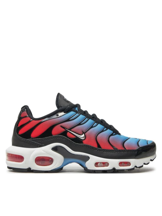 Zdjęcie produktu Sneakersy Nike Air Max Plus HF5386 001 Kolorowy