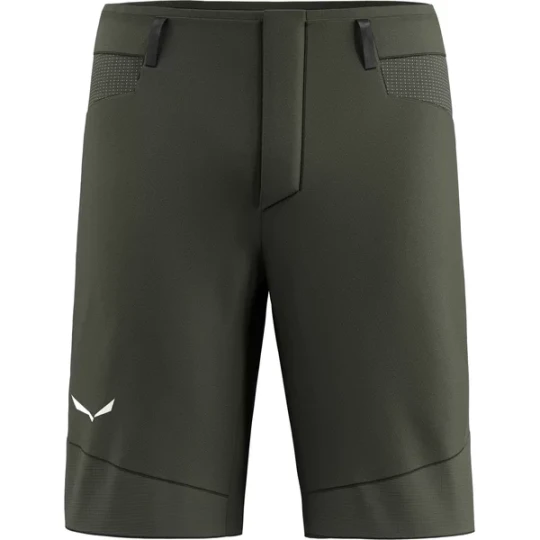 Zdjęcie produktu Spodenki męskie Agner Durastretch Salewa Zielony