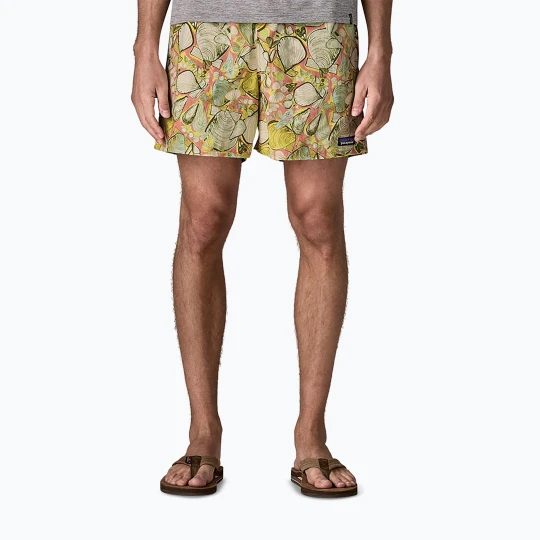 Zdjęcie produktu Spodenki męskie Patagonia Baggies 5" shelly shelly / mellow melon Beżowy