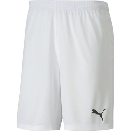 Zdjęcie produktu Spodenki męskie teamGOAL 23 Puma Biały