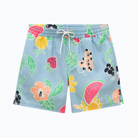 Zdjęcie produktu Spodenki męskie Vans Primary Print Elastic Boardshort dusty blue / dress blues